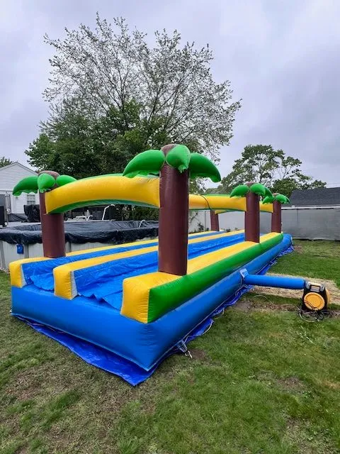 Slippery Palm1