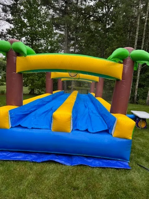 Slippery Palm2